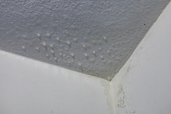 Condensation Control