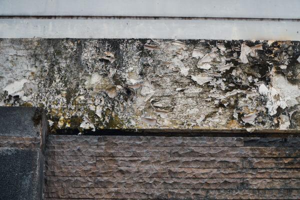 Penetrating Damp