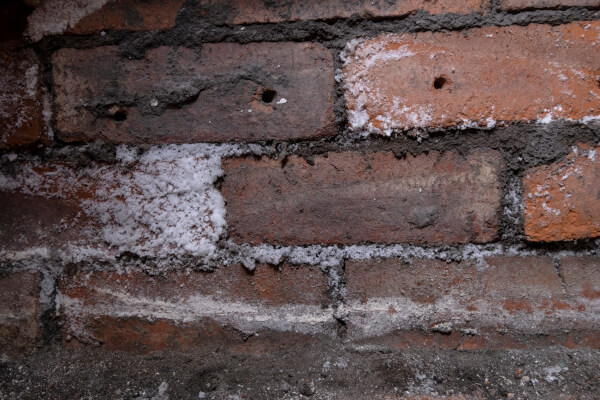 Rising Damp